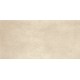 Genesis Matte Floor and Wall Tile 12X24 Shell (Box of 6)