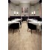 Travertini Matte Floor and Wall Tile 16.75X16.75 Noce (Box of 7)